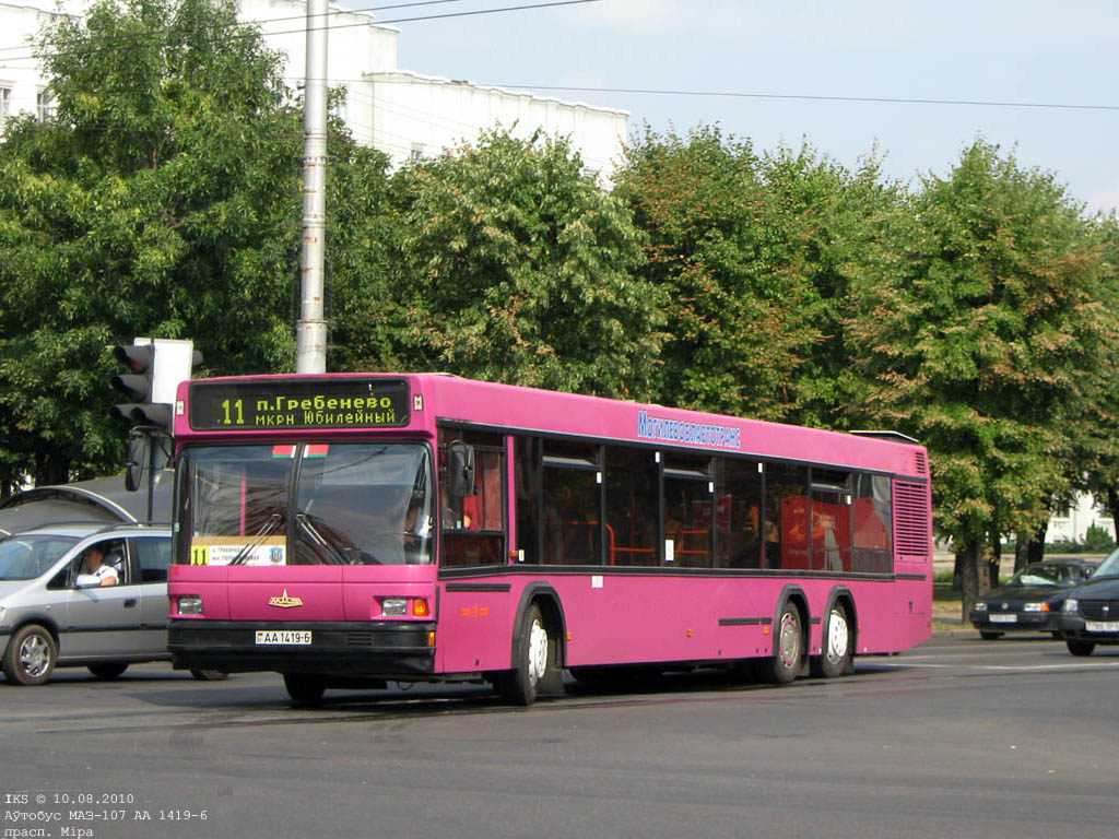 Дополнительное движение автобусов и троллейбусов организуют в Могилёве на Радуницу (7 мая) к местам захоронений