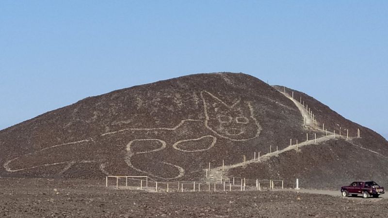 В Перу обнаружили гигантскую кошку. Ей более 2 тысяч лет