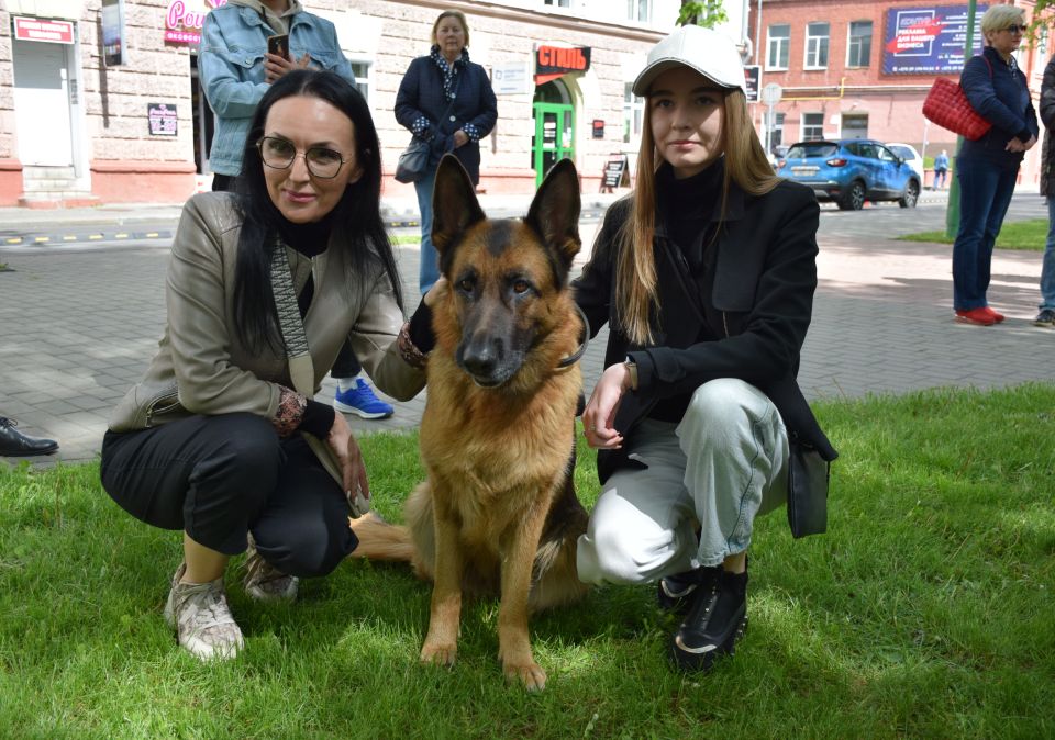 Акция в помощь бездомным животным прошла в центре Могилева