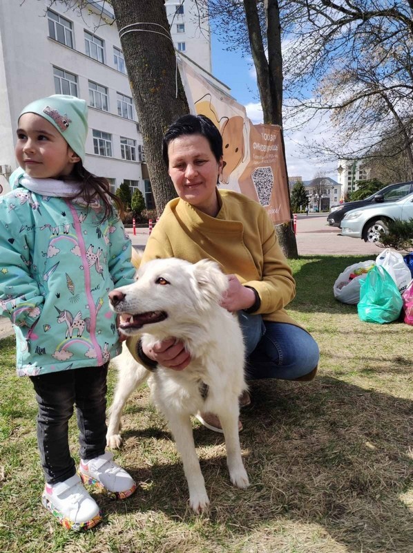 «Остров добра»: защитим бездомных животных