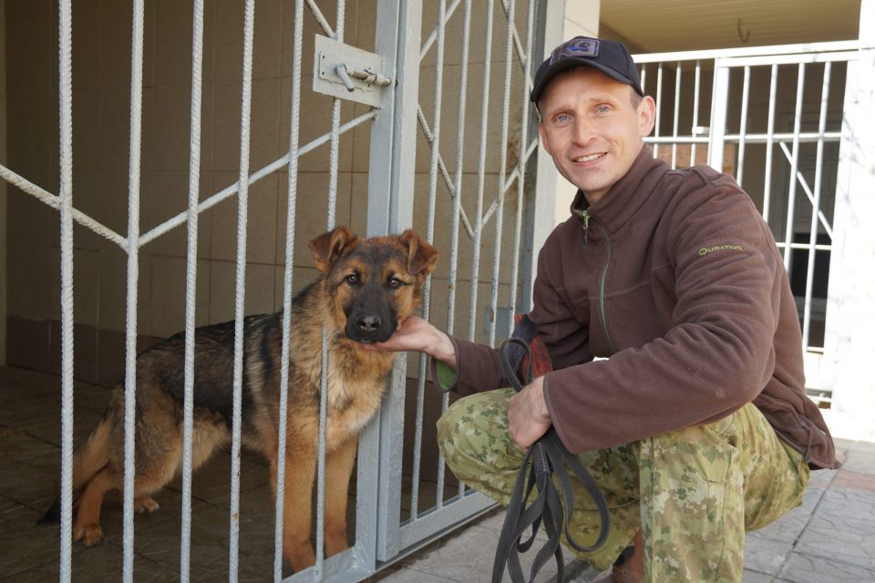 Когда собаки больше чем друзья, или Здесь растят стражей порядка