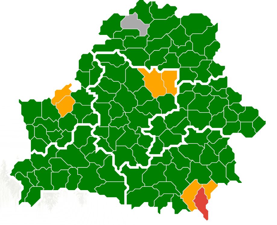 Ограничения на посещение лесов действуют в шести районах Беларуси